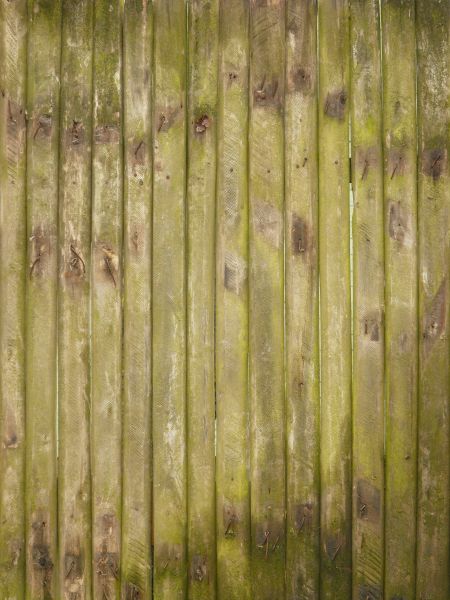 Green planks with dark spots and dark green ends.